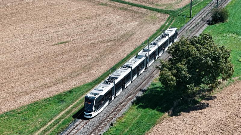 White and dark grey tram-train crossing open farmland past a single tree.